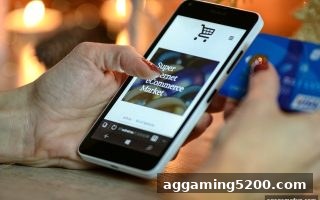 数字货币充值审核全流程深度解析——以ag电子娱乐平台为例