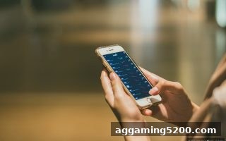PK10 USDT入金审核误区全解析：ag电子娱乐助您一次通过