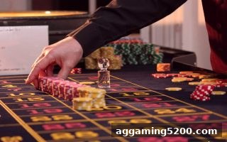 五龙争霸进阶指南：ag电子娱乐助你从菜鸟蜕变为策略大师