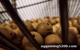 ag电子娱乐数字彩票选号实战策略与技巧