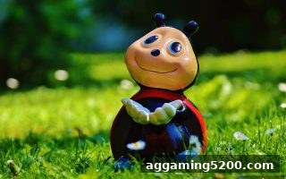 ag电子娱乐：深度剖析各类彩票游戏赔率的逻辑与价值