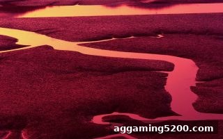 ag电子娱乐深度解析：彩票玩法与组合原理全攻略