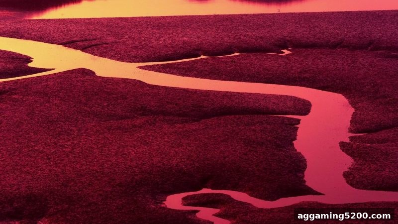 ag电子娱乐深度解析：彩票玩法与组合原理全攻略