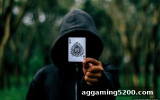 数据驱动竞技：ag电子娱乐平台如何借助胜率分析重塑高水平游戏认知