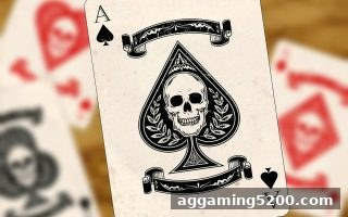 探秘推牌九：ag电子娱乐平台教你玩转底池赔率核心技巧