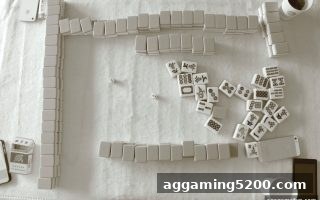 ag电子娱乐 | 在NBA直播间隙玩麻将的高效技巧