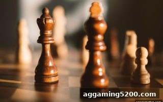 ag电子娱乐技巧指南：从麻将新手到高手的进化路线