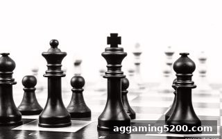 ag电子娱乐平台深度解读：数字货币德州扑克玩法与全攻略