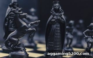 ag电子娱乐棋牌：社交功能如何让免佣百家乐成为玩家新宠