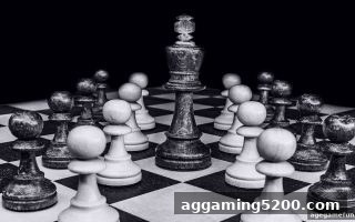 ag电子娱乐带你深入德州扑克：从规则到高阶战术的完整指南