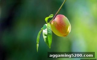 ag电子娱乐平台RTG首存红包完整领取指南