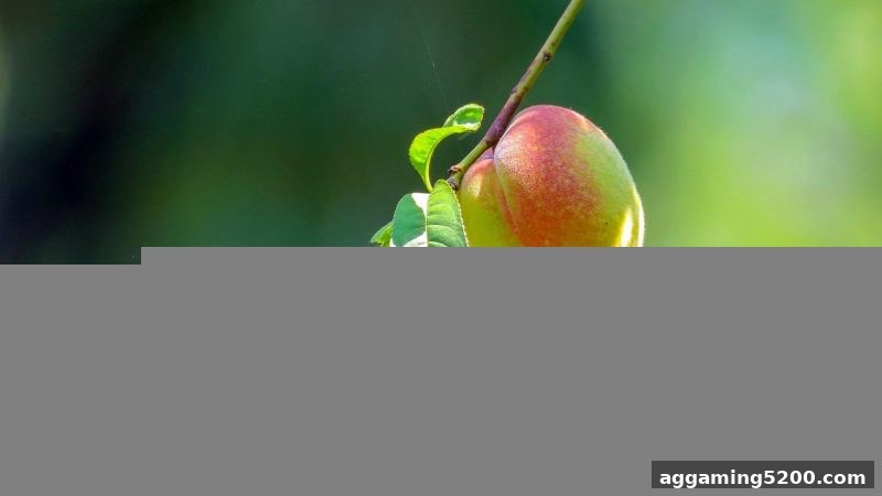 ag电子娱乐平台RTG首存红包完整领取指南