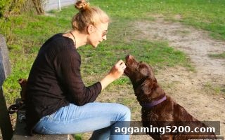ag电子娱乐中的风险管控与合规玩法指南：从资金管理到长期习惯养成