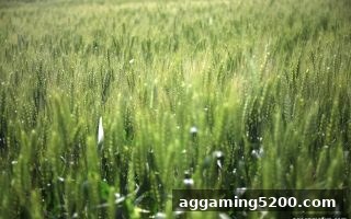 ag电子娱乐视角：NBA赛季深度回顾与精彩战役全解析