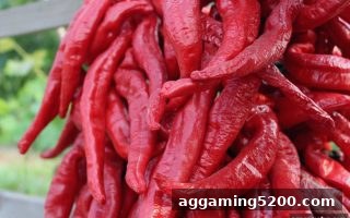 ag电子娱乐波胆VIP等级晋升攻略：从入门到高阶的奖励全解析