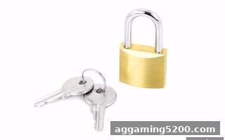 ag电子娱乐资金流动监测全解析：从概念到实战，保障你的每一笔交易