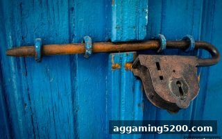 ag电子娱乐指南：系统化评估棋牌平台风险，守护您的资金安全