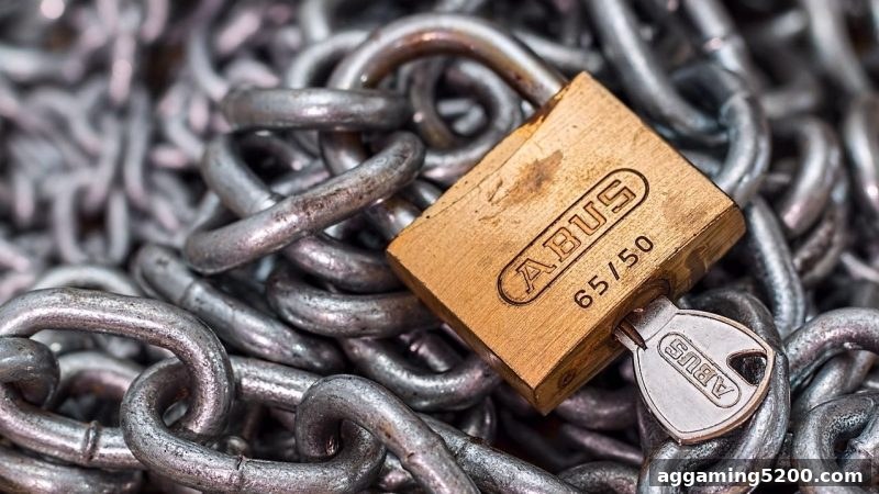 高效出款技巧：ag电子娱乐平台账户管理与资金流动策略