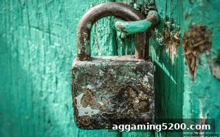 AG电子娱乐视角：网络娱乐平台法律保护的全新解读
