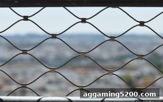 ag电子娱乐轮盘玩家必知：出款顺利为何成为首要考量？