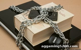 ag电子娱乐实操手册：平台合规验证与安全充值全攻略