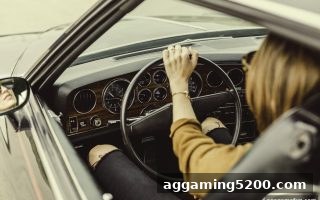 ag电子娱乐：真人电子游戏波动性在市场中的深度应用解析