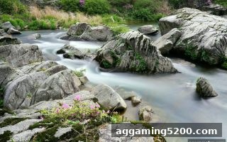 ag电子娱乐实测：Dota2直播平台微信充值全解析——玩家真实口碑与实用指南
