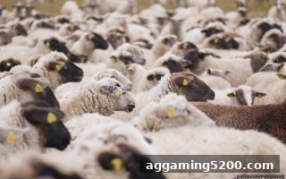 ag电子娱乐深度指南：斗地主与足球赛事回放视频的获取与价值解析